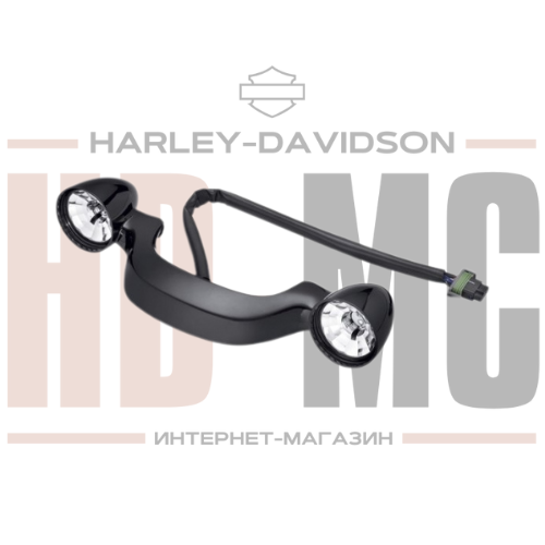 Задние фонари (USA) Harley-Davidson 67800483